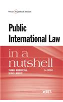 Public International Law in a Nutshell