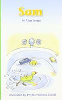 Reading 2011 Leveled Reader Grade 1.1.1 Below