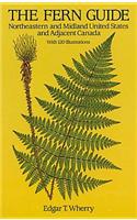 The Fern Guide