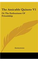 Amicable Quixote V1: Or The Enthusiasm Of Friendship