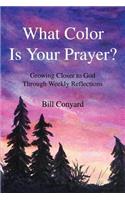 What Color Is Your Prayer?: Growing Closer to God Through Weekly Reflections