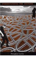Understanding the Infinite