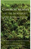 Common Mosses of the Northeast and Appalachians