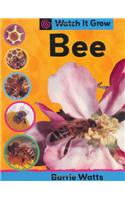Watch It Grow: Bee