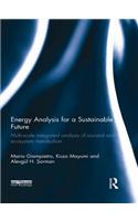Energy Analysis for a Sustainable Future