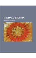 The Male Urethra