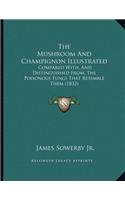 The Mushroom And Champignon Illustrated