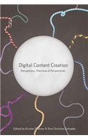 Digital Content Creation: Perceptions, Practices and Perspectives