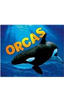 Orcas