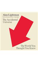 The Accidental Universe Lib/E: The World You Thought You Knew