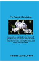 The Pursuit of Inspiration