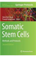 Somatic Stem Cells