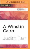 Wind in Cairo