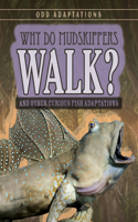 Why Do Mudskippers Walk?