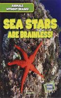 Sea Stars Are Brainless!