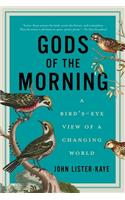 Gods of the Morning - A Bird's-Eye View of a Changing World