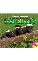 Zorrillos, With Code: (Animales en Mi Patio)