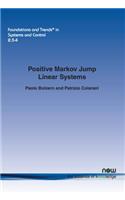 Positive Markov Jump Linear Systems