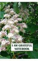 I am Grateful