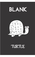 blank turtle