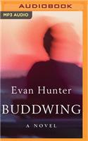 Buddwing