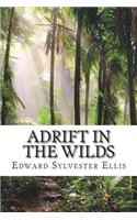 Adrift in the Wilds