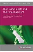 Rice Insect Pests and Their Management