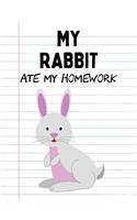 My Rabbit Ate My Homework