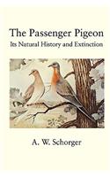 Passenger Pigeon: Its Natural History and Extinction