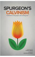 Spurgeon's Calvinism