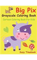 Big Pix Grayscale Coloring Book Cartoon Coloring Book for Kids