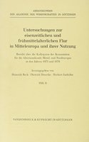 Untersuchungen Zur Eisenzeitlichen Flur