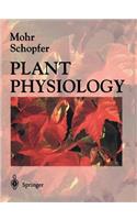 Plant Physiology