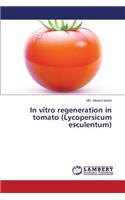 In vitro regeneration in tomato (Lycopersicum esculentum)