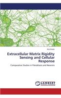 Extracellular Matrix Rigidity Sensing and Cellular Response