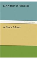 Black Adonis
