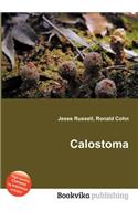 Calostoma