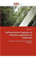 Déforestation tropicale et industrie papetière en indonésie