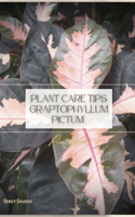 Plant Care Tips Graptophyllum Pictum