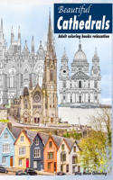 Beautiful Cathedrals ADULT COLORING books relaxation