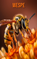Wespe: Buch mit erstaunlichen Fotos und lustigen Fakten für Kinder