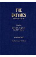 Mechanisms of Catalysis