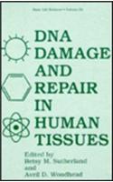 Deoxyribonucleic Acid Damage and Repair in Human Tissues