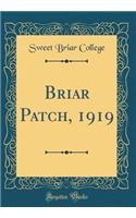 Briar Patch, 1919 (Classic Reprint)