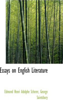 Essays on English Literature