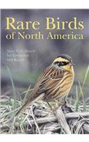 Rare Birds of North America