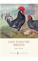 Old Poultry Breeds