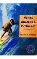 Human Anatomy and Physiology