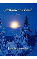 A Winter on Earth