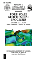 Pore Scale Geochemical Processes